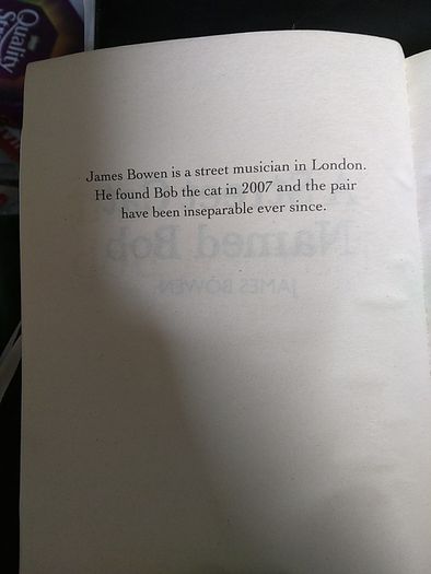 A Street Cat named Bob. An Uplifting True Story