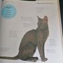 Cats: The Ultimate Cat Lover's Guide Image 7