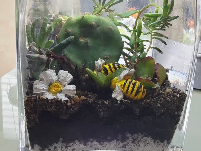 Indoor