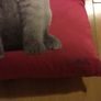 Cushions with Cat images Image 4