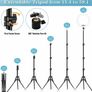 10 inch RGB Ring Light with 59'' Extendable Tripod Stand & Phone Holder 21 colours Image 6