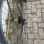 bike Image 7