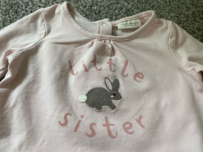 Next 2 baby girl tops: little sister and  best Sister - long sleeve shirt