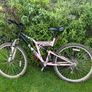 Ladies Comanche bicycle for sale Image 2