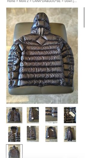 canada goose