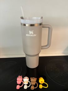 Stanley mug