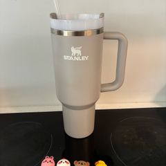 Stanley mug