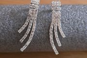 Sparkly earrings