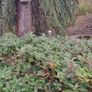Bird Nesting Boxes Image 10