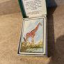 Vintage boxed  on Safari playing cards, rare item Image 2
