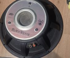 Peavey Black Widow 1502-4 DT BW Speaker