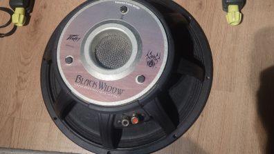 Peavey Black Widow 1502-4 DT BW Speaker