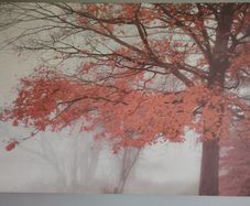 Nice canvas print