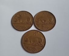 Irish halfpenny