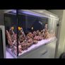 Malawi fish tank custom made (without fish and stand) Image 2