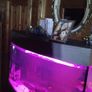 Juwel Vision Tank + Stand 260 Litres Image 8