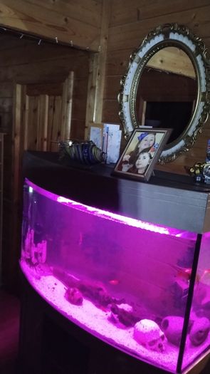 Juwel Vision Tank + Stand 260 Litres