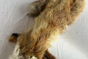 Vintage Red Fox Pelt Full Fur - 100cm - Taxidermy Throw - Excellent Condition