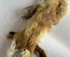 Vintage Red Fox Pelt Full Fur - 100cm - Taxidermy Throw - Excellent Condition