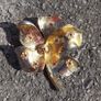 Vintage jewelry is sold individually for 5 to 10 euros Image 10