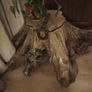 Tree trunk coffee table spectacular Image 9