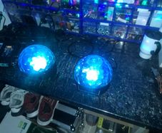 Disco Lights