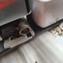 espresso machine . pressure low Image 5