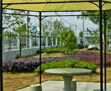 gazebo/pergola
