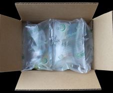 Sealed Air Bags for Shipping