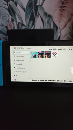 Modded Nintendo Switch (Picofly Chip)
