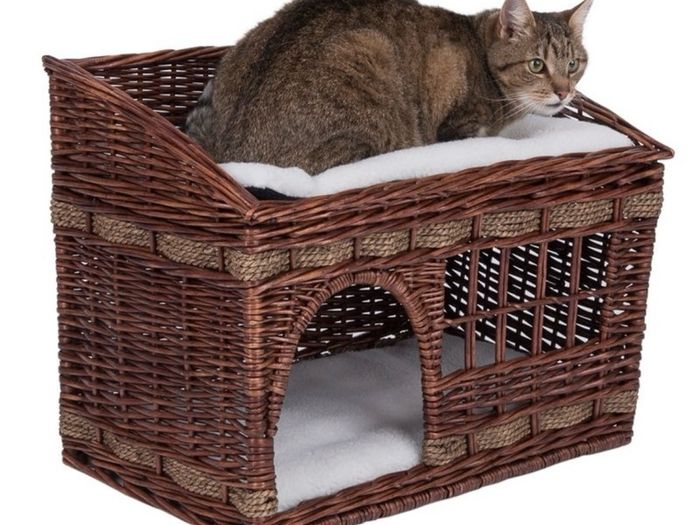 Pueblo Cat Den