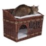 Pueblo Cat Den Image 2