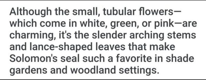 "Solomon's seal "(poligonadum).