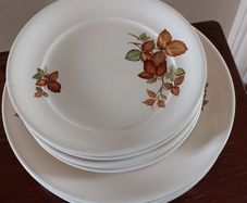 Dinner Service X 5