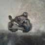 Shimano Derailleur Image 5