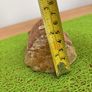 Lilliput Cottage Image 6
