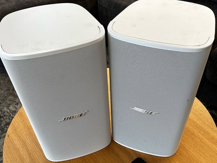 Bose DM8S Speakers