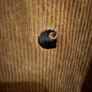 Carhartt Madison Cord Shirt Image 2