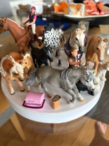 Schleich Horses with some accessories
