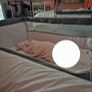 Chicco next to me Image 3