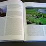 Ancient Ireland from prehistory to the Middle Ages Irish history Image 7