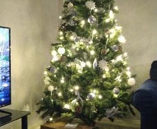Complete Christmas Tree Set (Like New!)