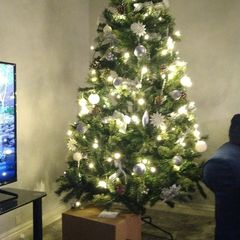 Complete Christmas Tree Set (Like New!)