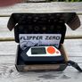 Flipper Zero Image 7