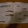 Encyclopedia Of Animals Image 4