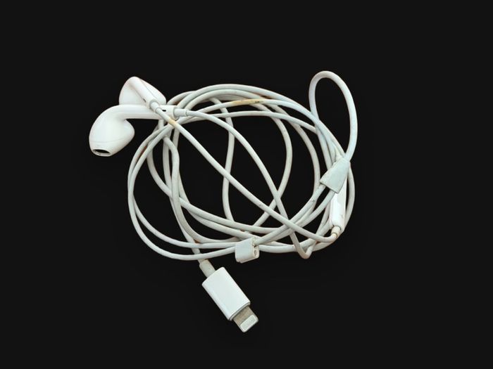 Apple EarPods with Lightning Connector