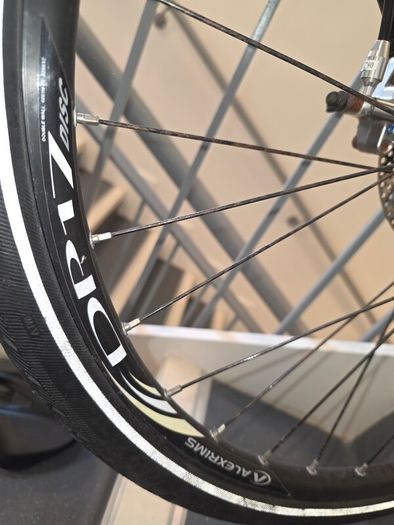 Alexrims dp 17