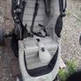 buggy Image 6