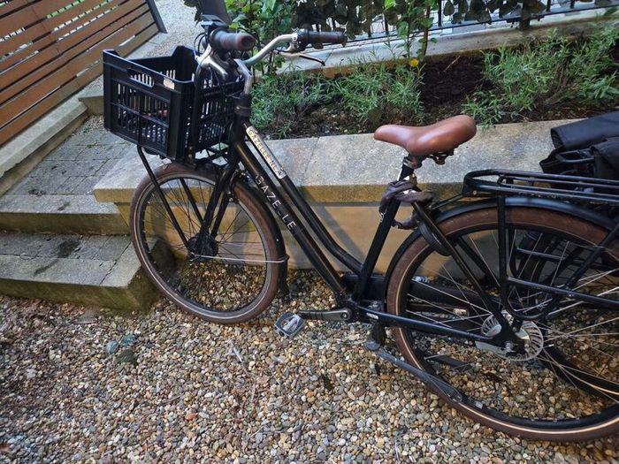 Bicycle Gazelle HeavyDutyNL with Swytch Kit