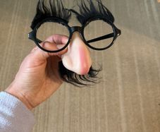 Halloween accessories- glasses and nose